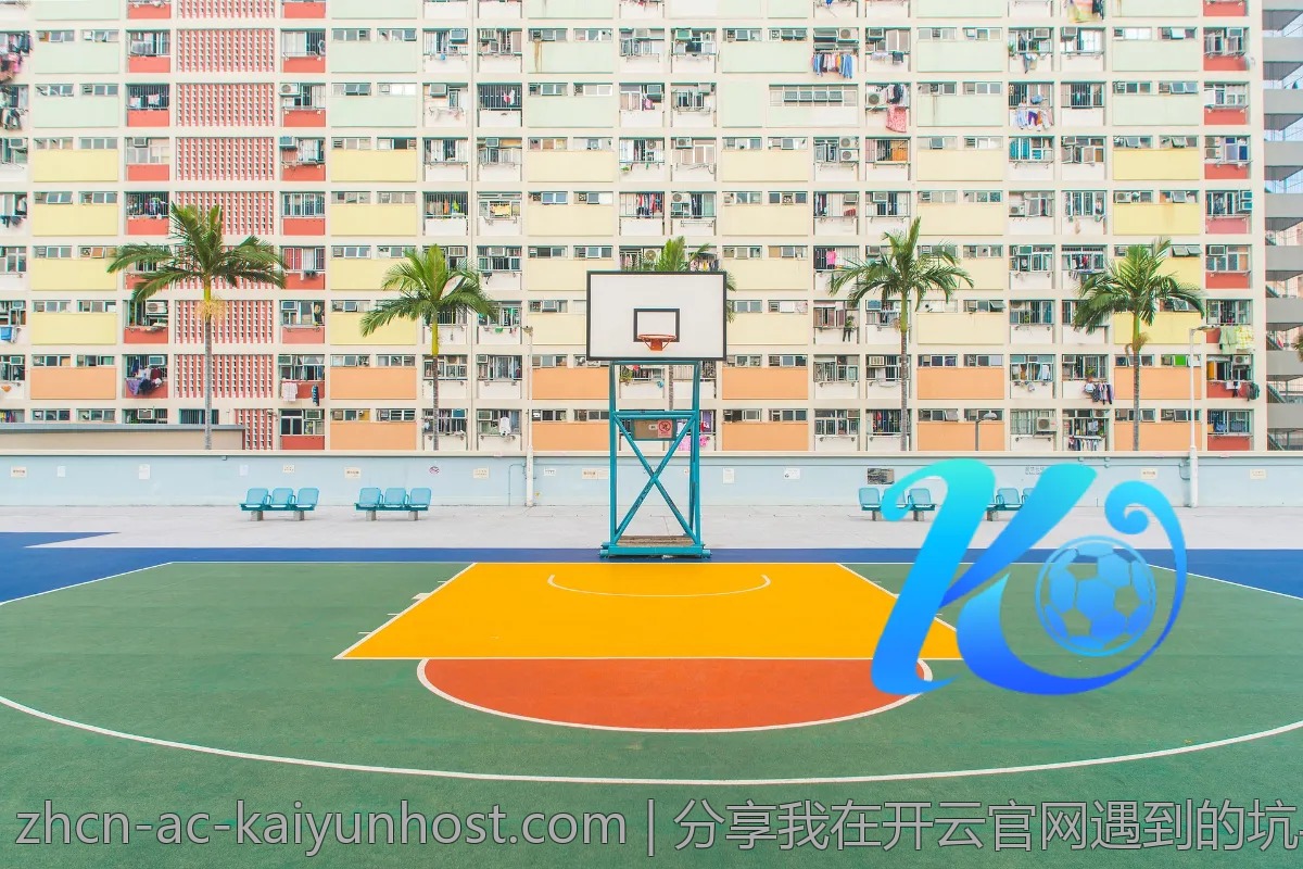 分享我在开云官网遇到的坑与经验教训