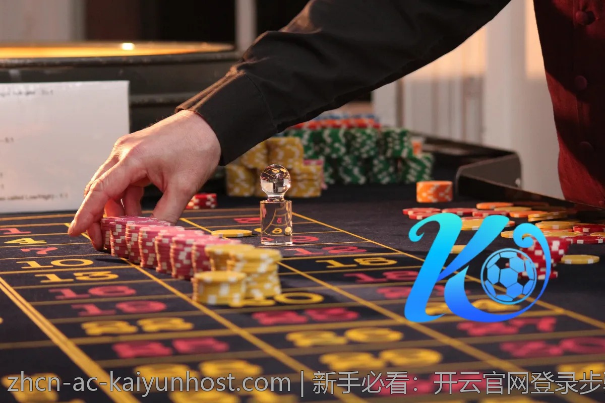 新手必看：开云官网登录步骤详解